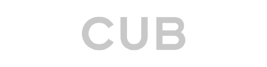 AYA_Cub business club